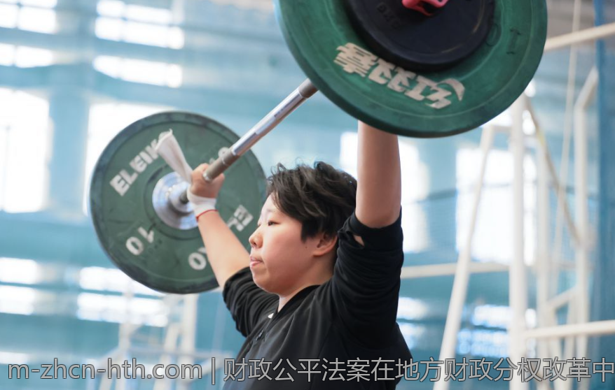 财政公平法案在地方财政分权改革中的作用